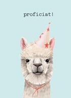 Verjaardag kaart hip happy birthday lama alpaca